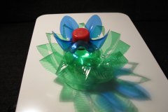 Blume-für-web